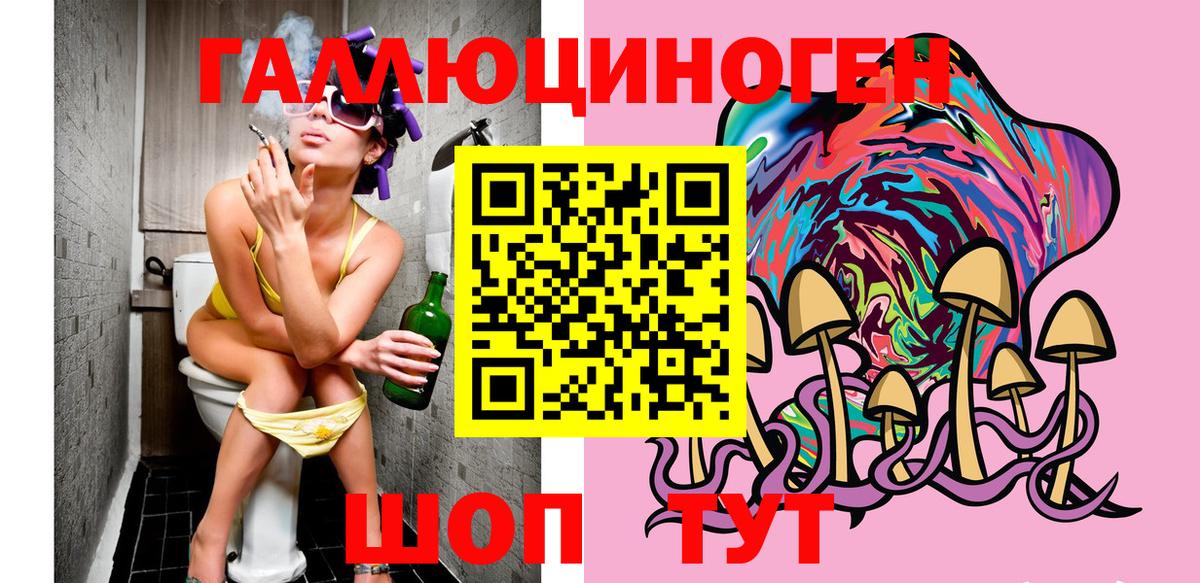 сколько стоит  Псилоцибиновые грибы Cubensis  Губаха  Вход с VPN  Псилоцибиновые грибы мицелий 